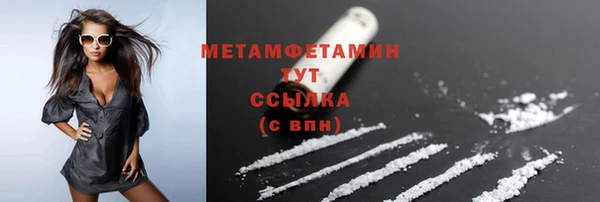 шишки Осинники
