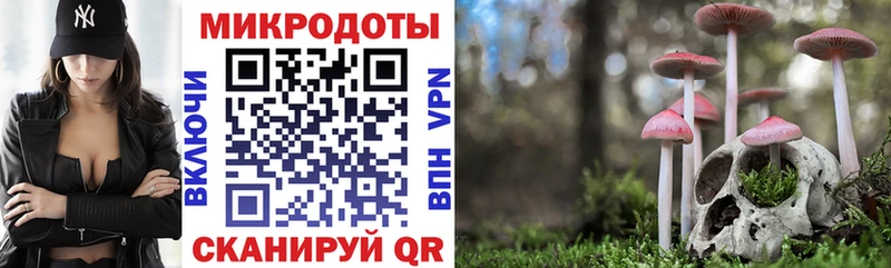Псилоцибиновые грибы Psilocybe  KRAKEN рабочий сайт  Тосно 